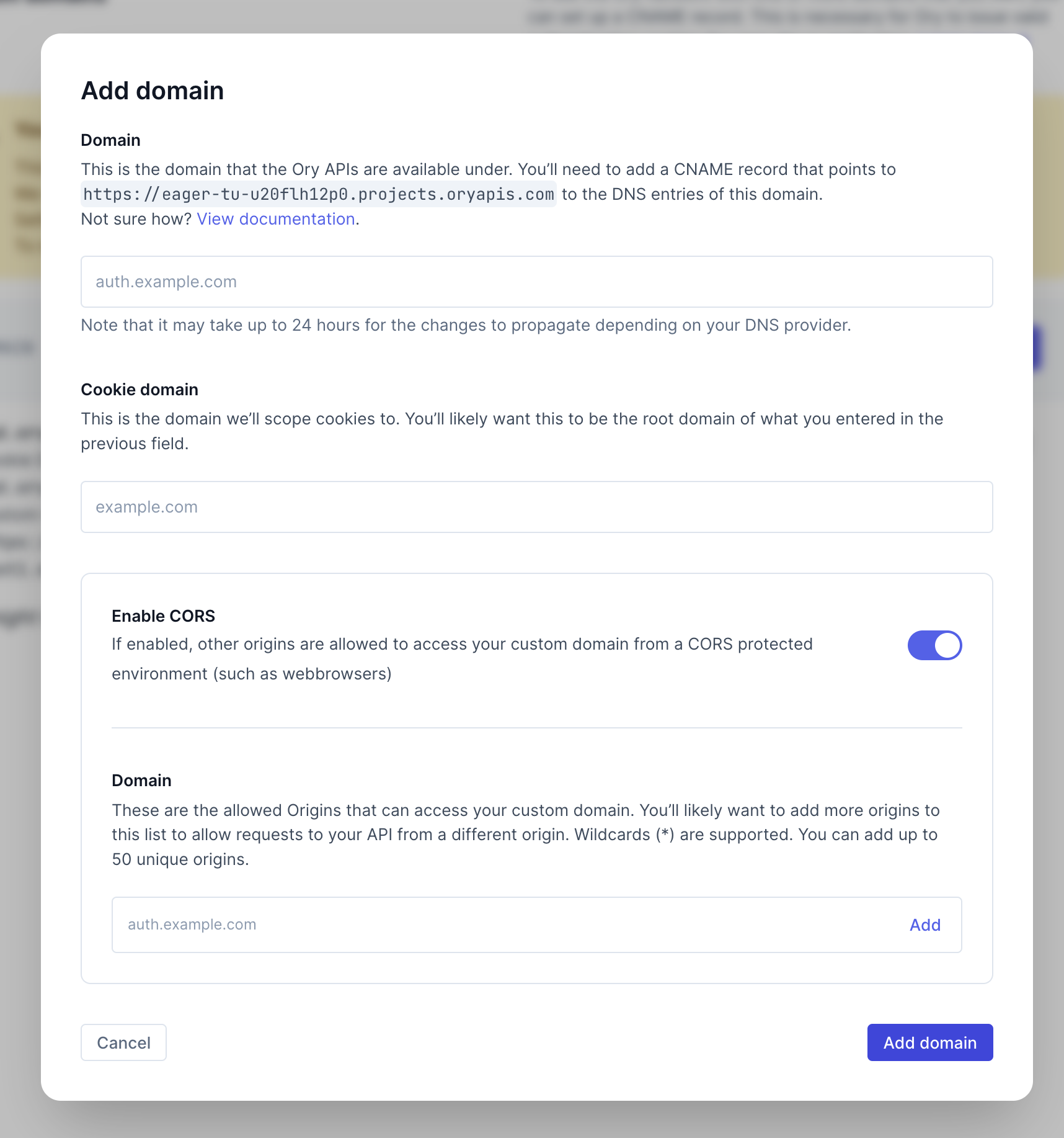 Custom Domain Creation form